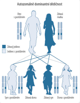Autozomálně dominantní dedičnost